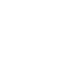 Google1.png