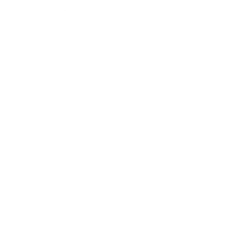 Sales-Force1.png